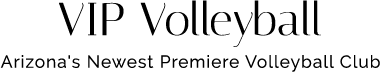 vip-volleyball-logo